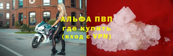 прущие грибы Арсеньев