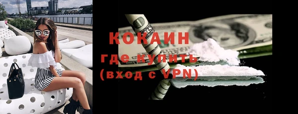 прущие грибы Арсеньев