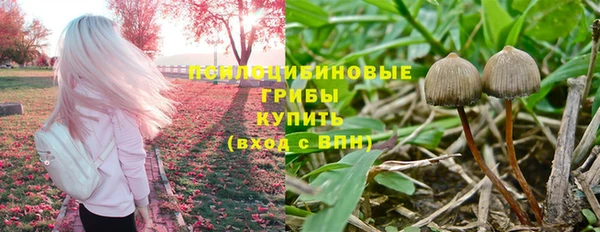 2c-b Алексин