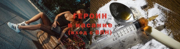 прущие грибы Арсеньев