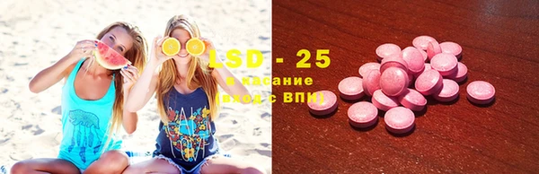прущие грибы Арсеньев