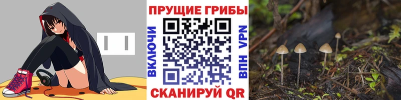 omg рабочий сайт  Саров  Псилоцибиновые грибы прущие грибы  закладки 